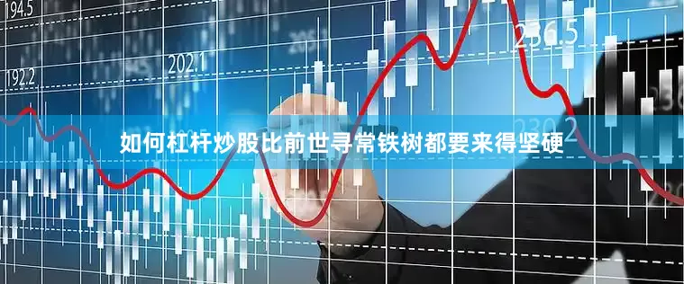 如何杠杆炒股比前世寻常铁树都要来得坚硬